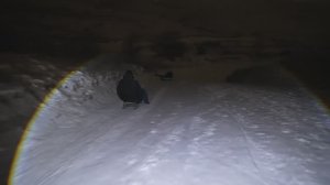 катание по снегу ночной Зеленокумск 24 01 2026 год