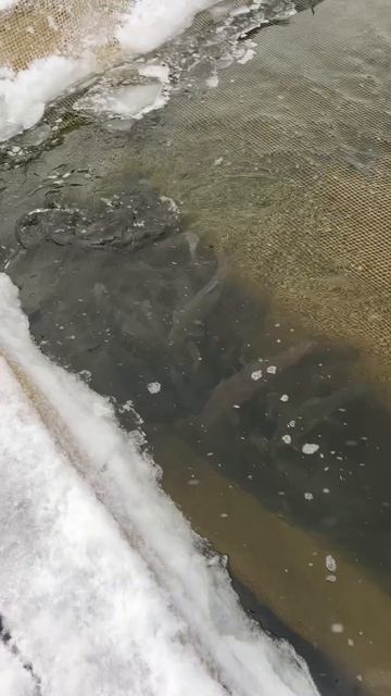 26-01-2026 смотреть онлайн