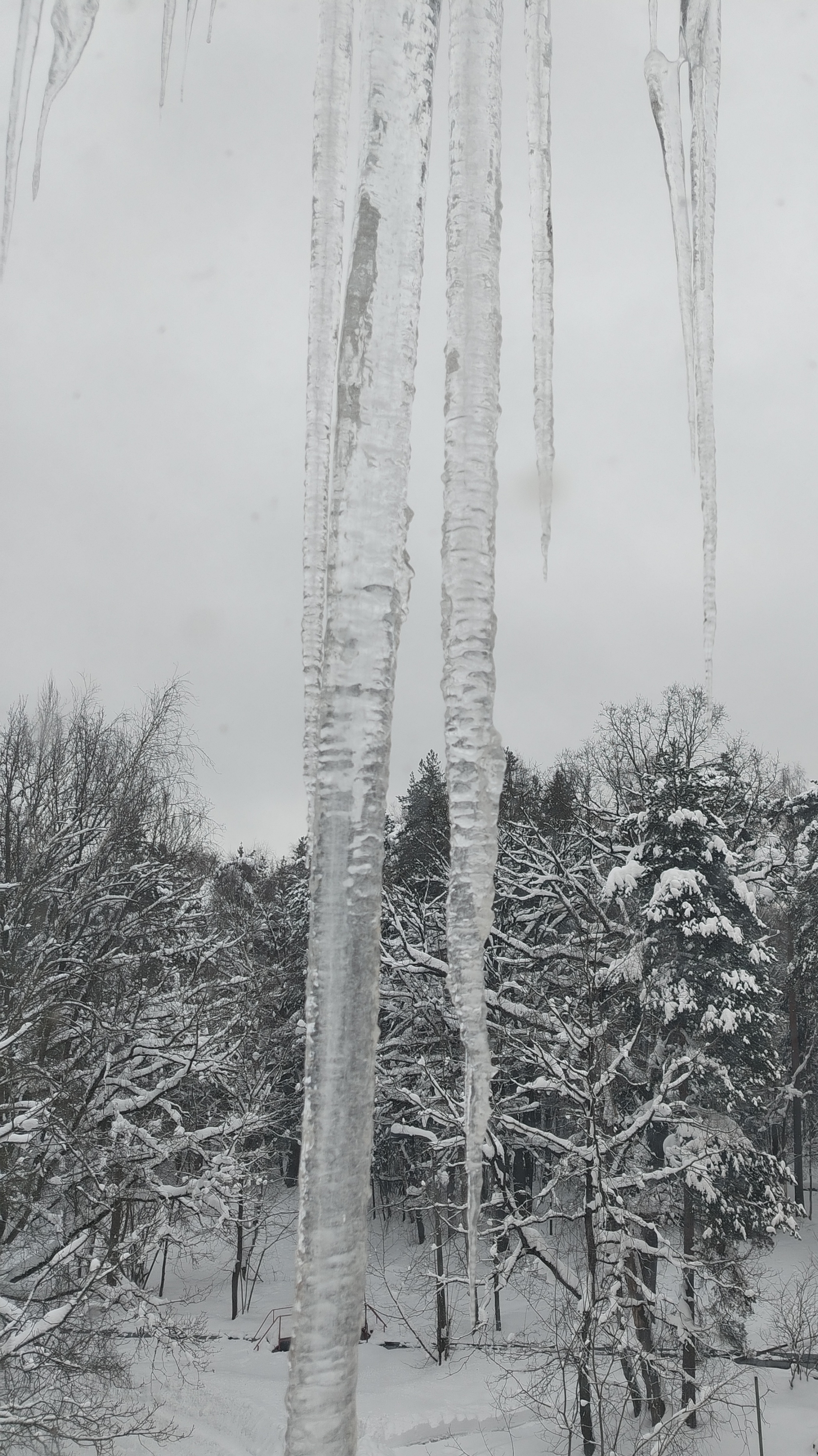 Зимааа🌲 смотреть онлайн