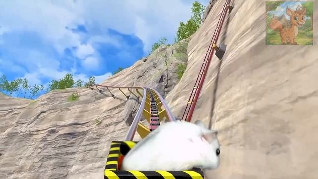 У маленького хомячка новая кухня! Он свободно бродит по кухне! смотреть онлайн