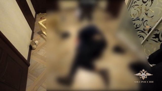 Ирина Волк: В Краснодарском крае полицейские предотвратили двойное заказное убийство смотреть онлайн