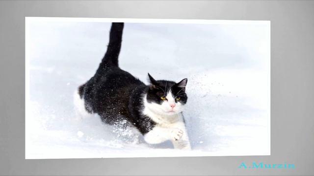 Cities In The Clouds 50 (Part 1) смотреть онлайн