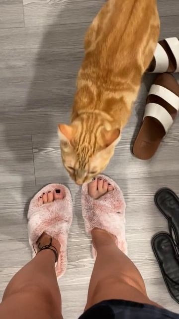 Не понимаю я по-вашему смотреть онлайн