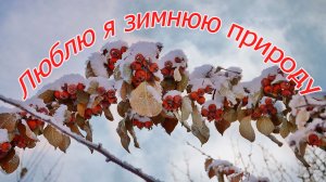 Зима красоты и восхищенья...Красивая песня на ст.Татьяны Силютиной