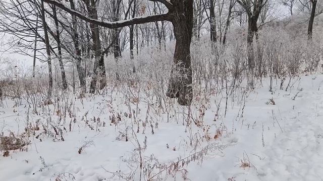 Шли по дороге доброта и счастье смотреть онлайн