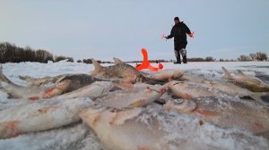 ЭТА УДОЧКА ЛОВИТ ВСЮ РЫБУ.🎣ЗИМНЯЯ РЫБАЛКА НА БОЛЬШОЙ РЕКЕ. НА АЭРОЛОДКЕ ЗИМОЙ