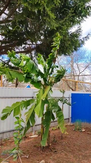 🙄 смотреть онлайн