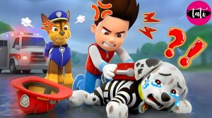 Щенячий патруль и Маршалл. Залипательное видео. Мультфильм для детей и малышей. Анимация 132