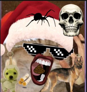 пожалуйста любите меня пишите в чат ❤️