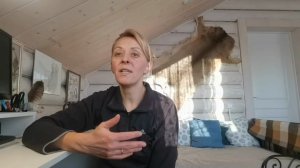 Попона для подружейной собаки. Блажь или польза?