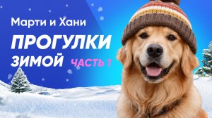 КАК ГУЛЯТЬ С СОБАКОЙ ЗИМОЙ? / НУЖНА ЛИ ОДЕЖДА И ОБУВЬ? / ЧТО ДЕЛАТЬ, ЕСЛИ СОБАКА ОТКАЗЫВАЕТСЯ ГУЛЯТЬ