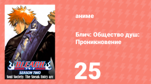 Блич: Общество душ: Проникновение 25 серия (аниме-сериал, 2004)