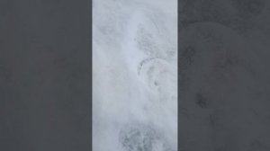 Бешеный клёв щуки.