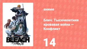 Блич: Тысячелетняя кровавая война — Конфликт 14 серия (аниме-сериал, 2024)
