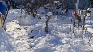 Утро немного потеплело