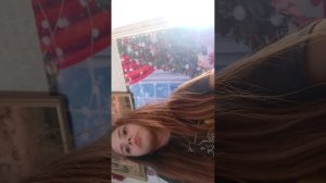 о собак как с ними гулять и ухаживать