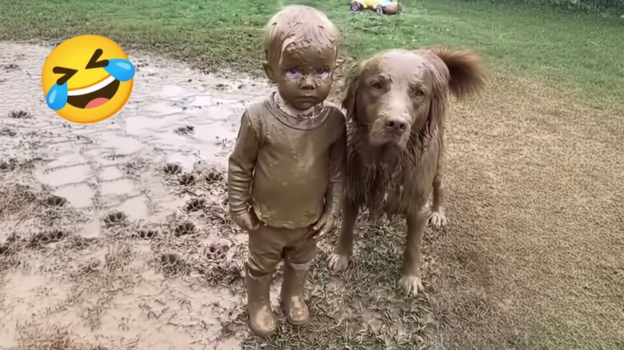 #смешныевидео -788 смотреть онлайн