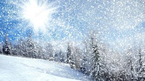 Белый снег  .