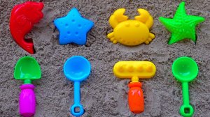 Учим Названия Цветов с Морскими Животными | Развивающий мультик для детей |  Обучающее видео | Цифры