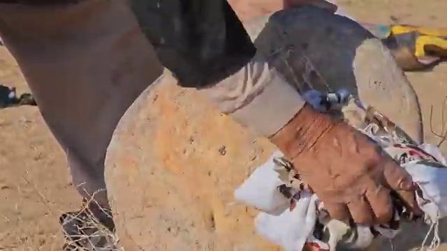 Кочевники Ирана. смотреть онлайн