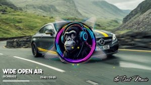 Wide Open Air - IronBass