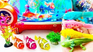 Мультики для детей. Светящийся робот-рыболов и аквариум🦈🐳🐡. Смотреть онлайн мультики для малышей.