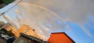 отвечаю на ваши вопросы