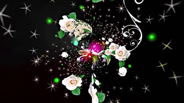 С Днём Рождения! Букеты роз 4 от Киностудии Мудрого Кота Тимофея! смотреть онлайн