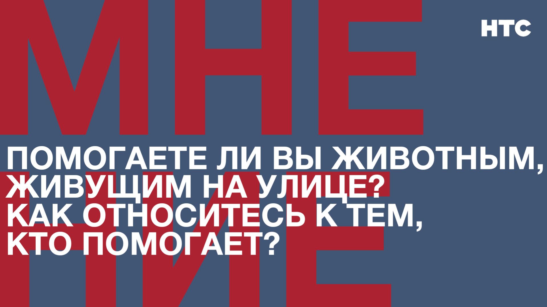 Мнение: Помогаете ли вы животным, живущим на улице? Как относитесь к тем, кто помогает? смотреть онлайн