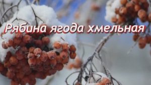 Рябина ягода хмельная ...Песня в исполнении Сергея Губанова