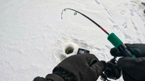 ОХ ЗРЯ МЫ НЕ ВЕРИЛИ В ЭТУ ПРИМАНКУ по СУДАКУ. Рыбалка на силикон со льда зимой в 2026