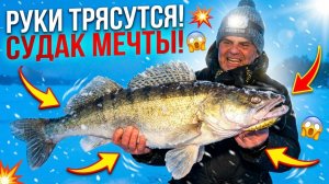 МЕНЯ ТРЯСЕТ от Этой РЫБАЛКИ! Трофейные судаки в каждой лунке Зимняя рыбалка на VIBы