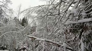 #зима в Январе