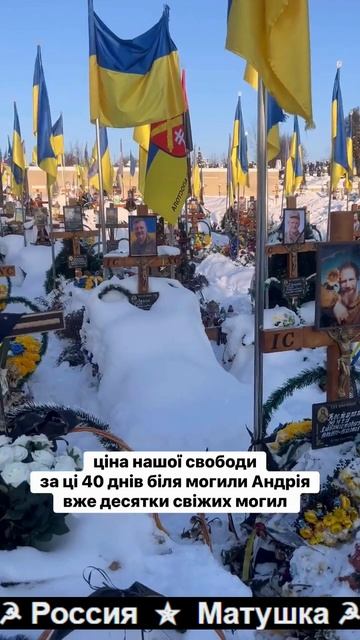 🔴Хохлушку поражают темпы денацификации укронацистов🔴 смотреть онлайн