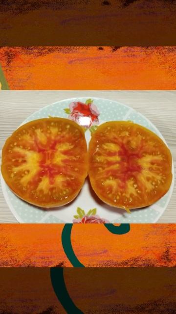 Томат Хартсак желтый т. 89229284031 смотреть онлайн