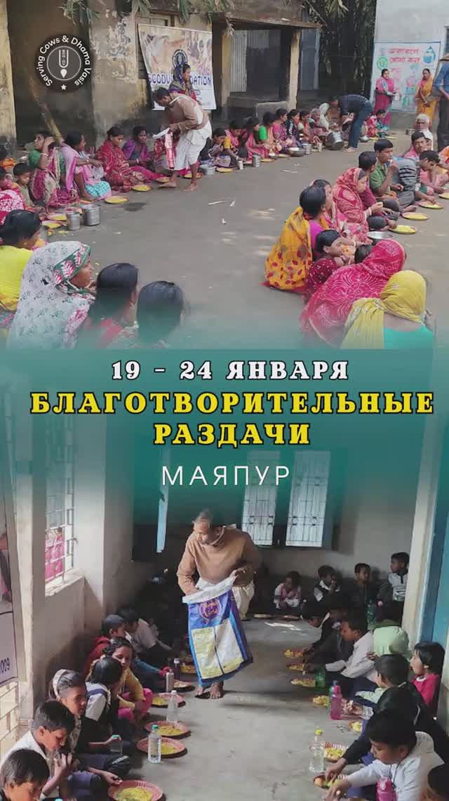 19 - 24 января. Видеоотчет о благотвторительных раздачах в Маяпуре смотреть онлайн