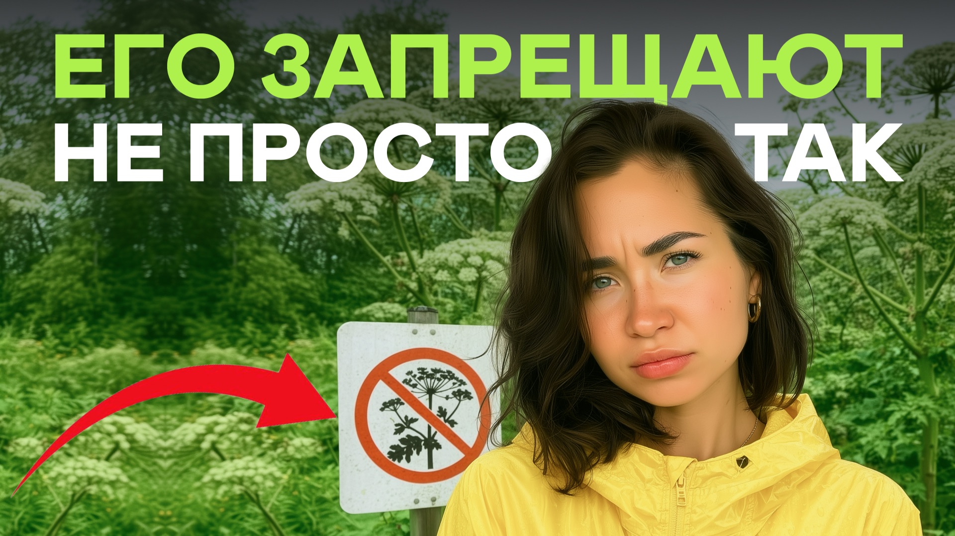 Вот почему Борщевик запрещают по всей России смотреть онлайн