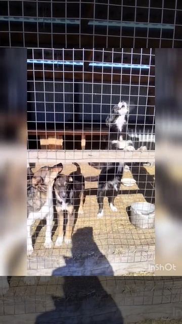 17.03.25г смотреть онлайн