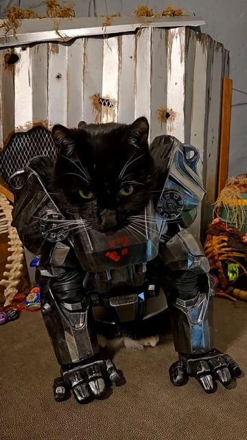 Присоединяйся к Братству стали смотреть онлайн