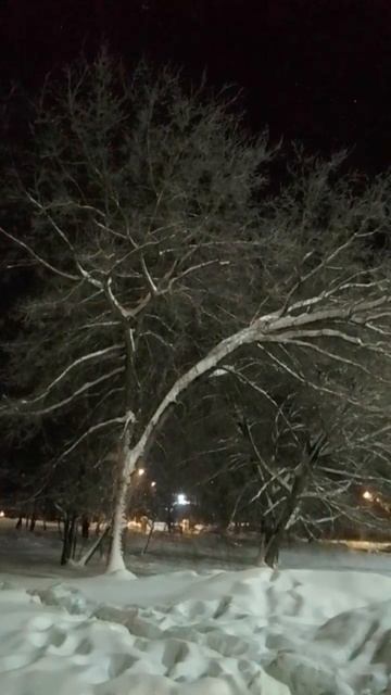 Снегопад в ночи смотреть онлайн