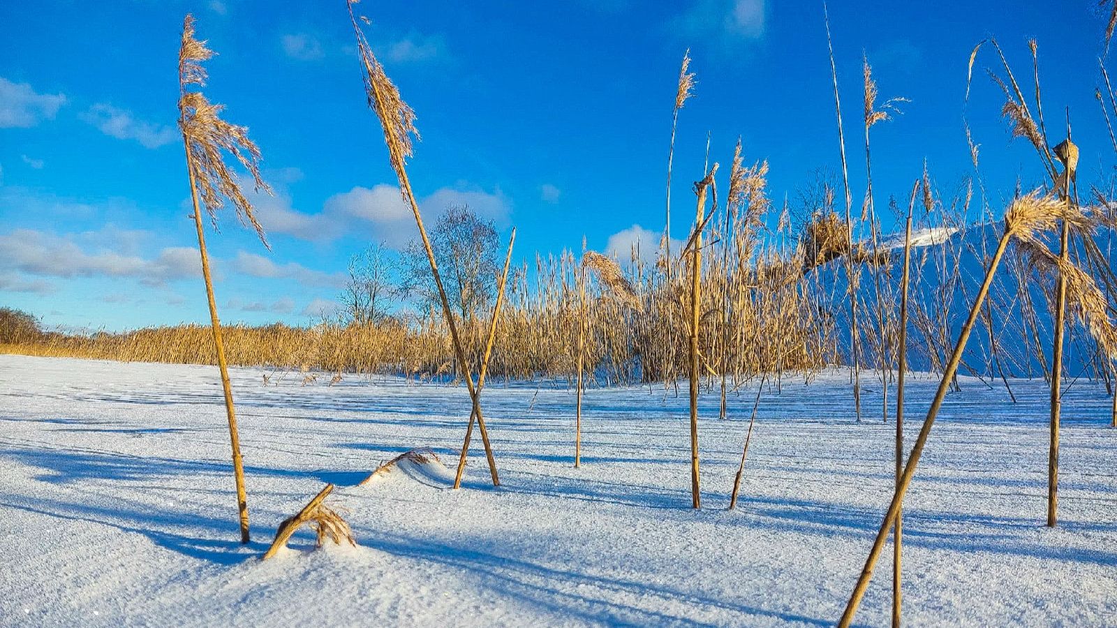 Зимняя сказка, Рыбалка на щуку , (жерлицы зимой в -20) смотреть онлайн