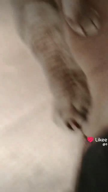 1000000651.mp4 смотреть онлайн