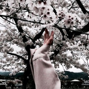 делаю домашку и отвечаю на вопросы