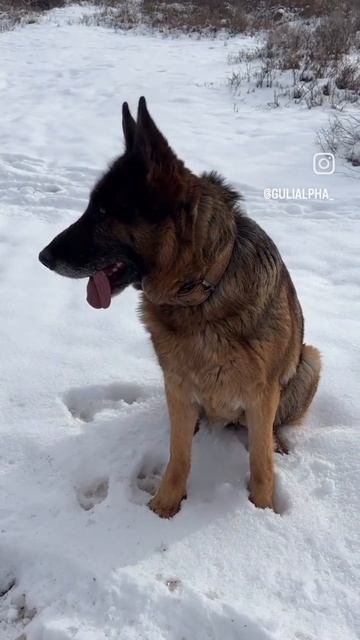 1000146933.mp4 смотреть онлайн