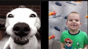 Батл: Жека против животных. Ржака🤣