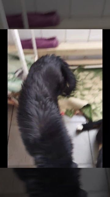 28.03.25г утро доброе приют смотреть онлайн