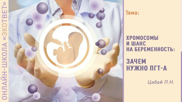 Онлайн-школа «ЭКОтвет»: Хромосомы и шанс на беременность: зачем нужно ПГТ-А смотреть онлайн