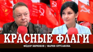 Правда под угрозой, или Как активных депутатов пытаются сломать | Мария Прусакова | Фёдор Бирюков