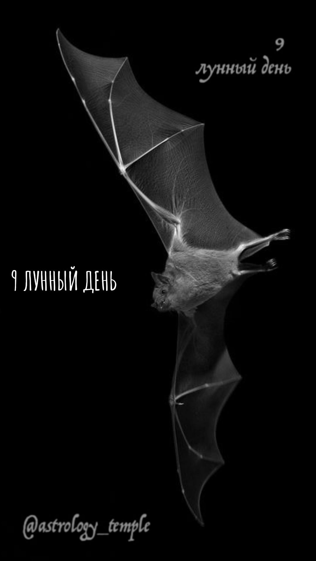 📅 ВТ, 27.01.2026 🌛 9 лунный день | Растущая Луна в Тельце 🪄 смотреть онлайн