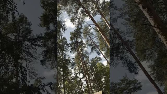 "Белый пароход" - "Репетиция у природы" смотреть онлайн